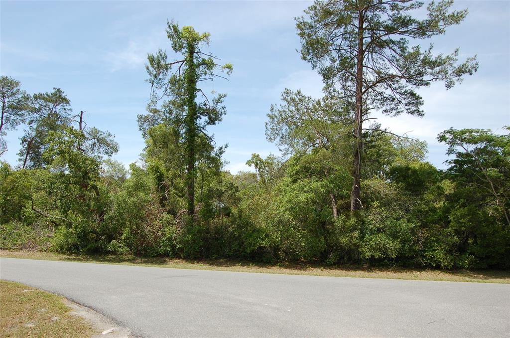 Tbd Southwest 41st Circle, Unit 6 Ocala, FL 34472 - Photo 2 of 3 a view of a yard with plants and large trees