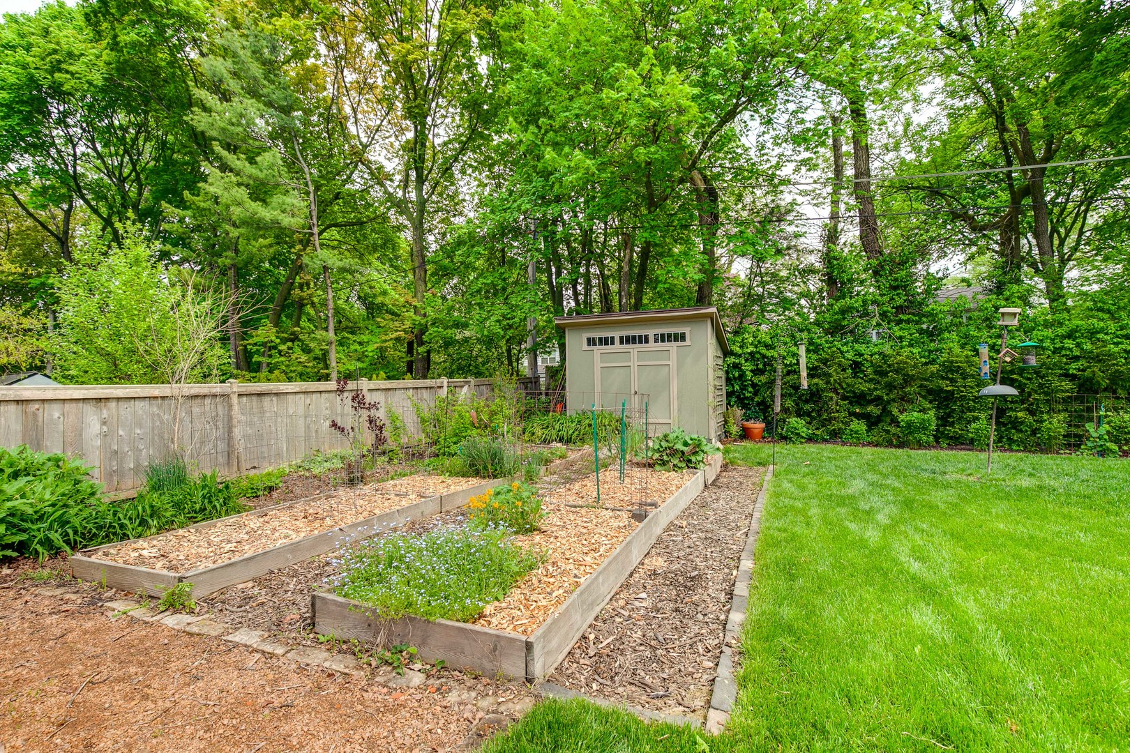 50 Ravine Forest Drive Lake Bluff, IL 60044 - Photo 39 of 44 a view of a back yard with a trees
