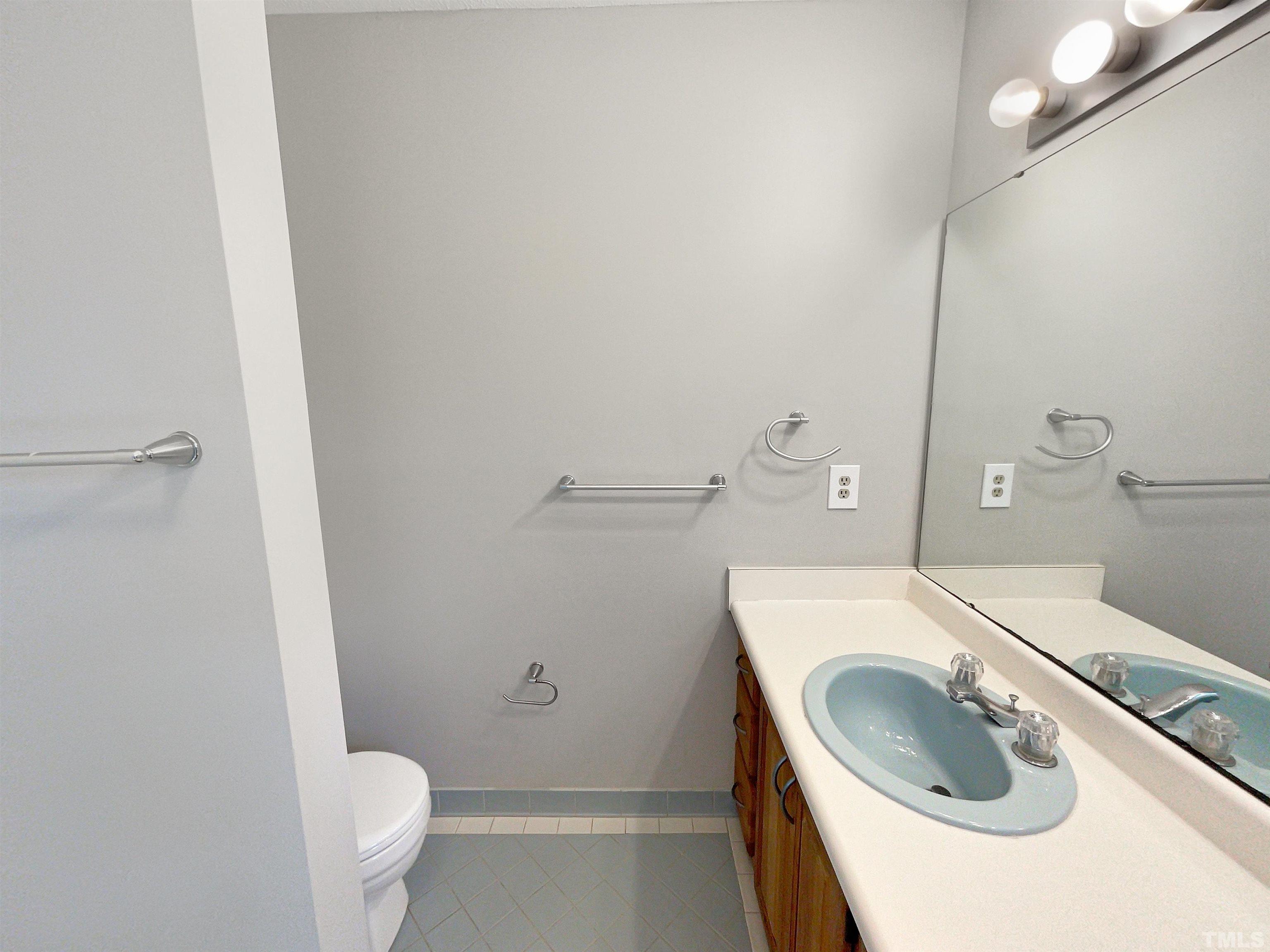 6900 Three Bridges Circle Raleigh, NC 27613 - Photo 19 of 20 a bathroom with a sink a toilet and vanity