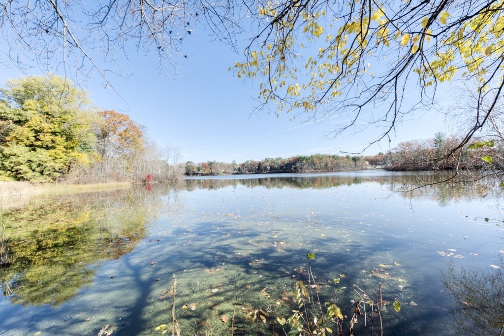 18 Bergin Lane Worcester, MA 01602 - Photo 9 of 42 a view of lake with green space