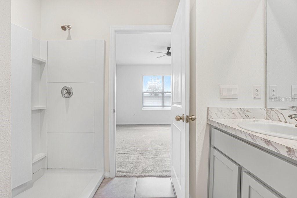 31210 Penny Surf Loop Wesley Chapel, FL 33545 - Photo 17 of 39 a bathroom with a granite countertop sink a mirror and a shower