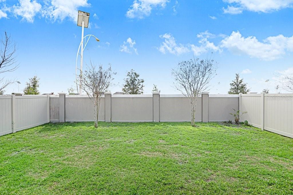 31210 Penny Surf Loop Wesley Chapel, FL 33545 - Photo 18 of 39 a view of a yard