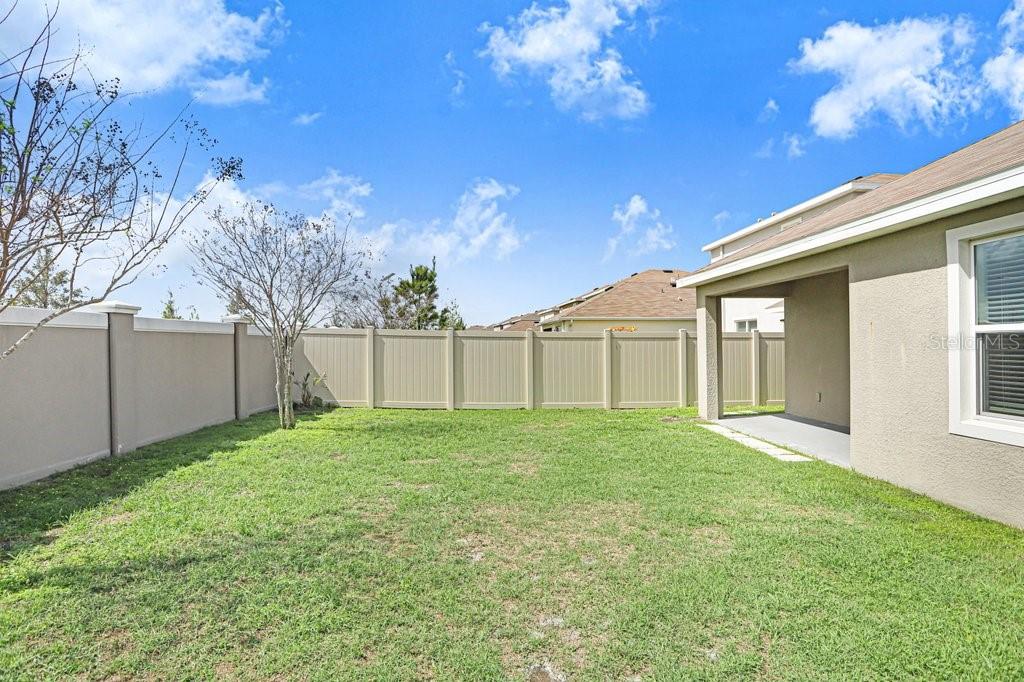31210 Penny Surf Loop Wesley Chapel, FL 33545 - Photo 19 of 39 a view of a backyard with white house