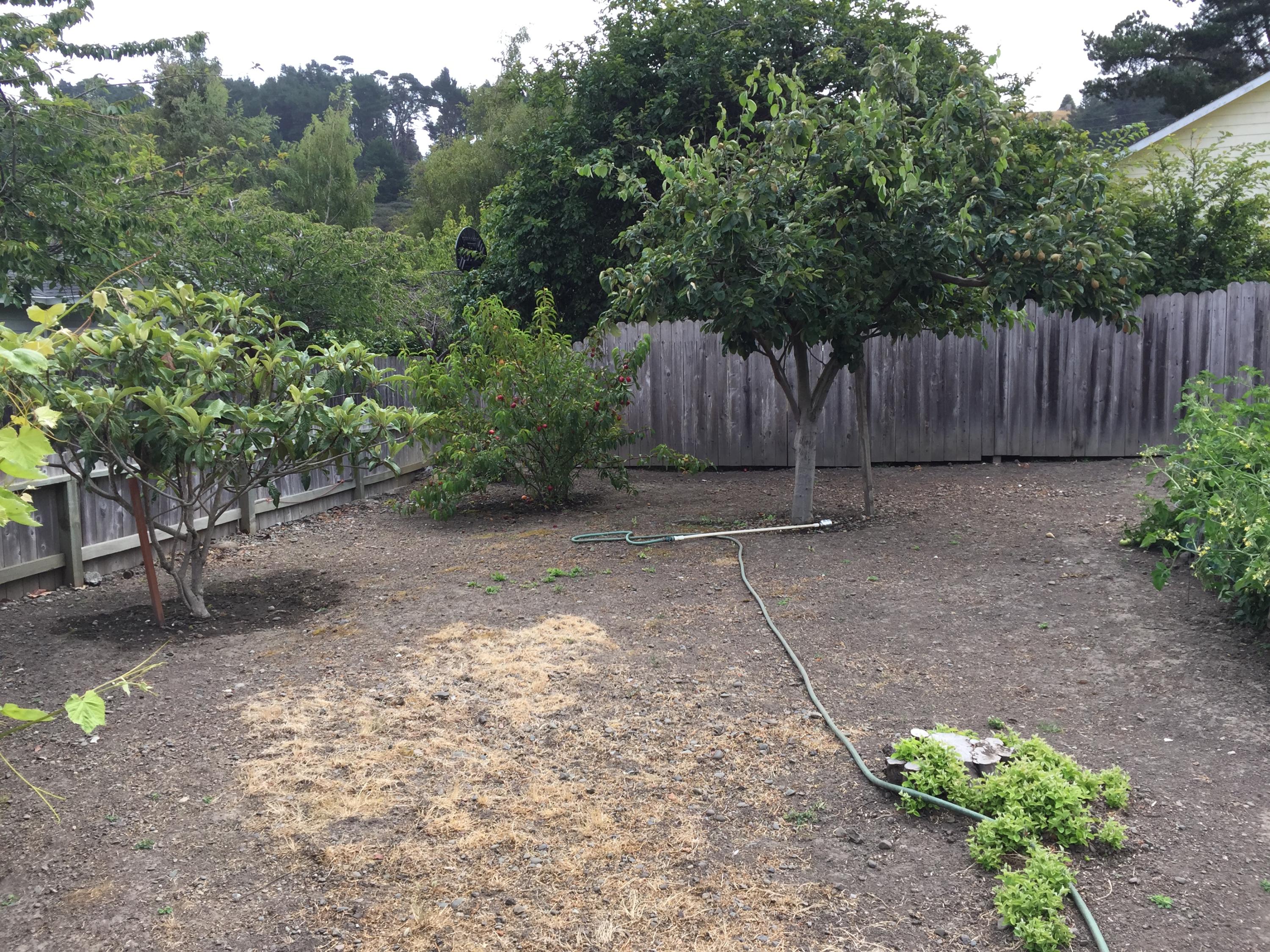 1888 Rohnerville Road Fortuna, CA 95540 - Photo 16 of 22 Gallery Image 16