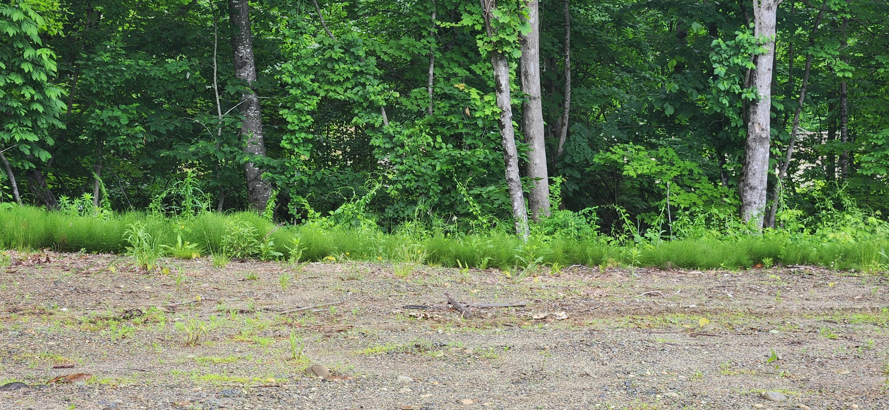4 Titcomb Hill Road Farmington, ME 04938 - Photo 1 of 5 20240612_091457 (1)