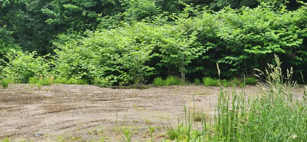 $62,000 | 4 Titcomb Hill Road, Farmington, ME 04938