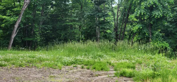 $62,000 | 4 Titcomb Hill Road, Farmington, ME 04938