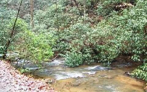 Lot 3 Kells Ridge Road Ellijay, GA 30540 - Photo 1 of 1 Main View