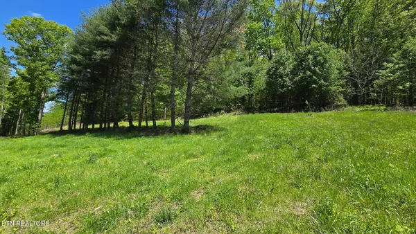 $284,900 | Dooley Hollow Road, Ewing, VA 24248