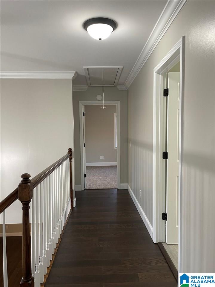 787 Cox Cove Road Hayden, AL 35079 - Photo 42 of 50
