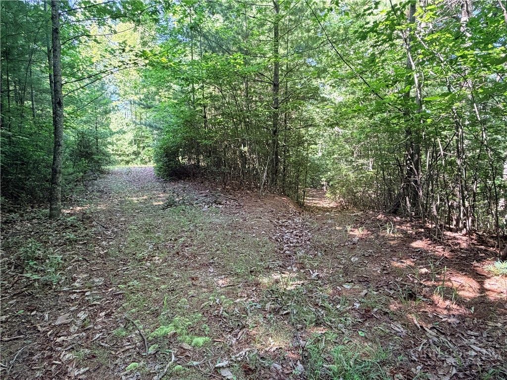 171-172b Blue Rock Road Purlear, NC 28665 - Photo 10 of 47