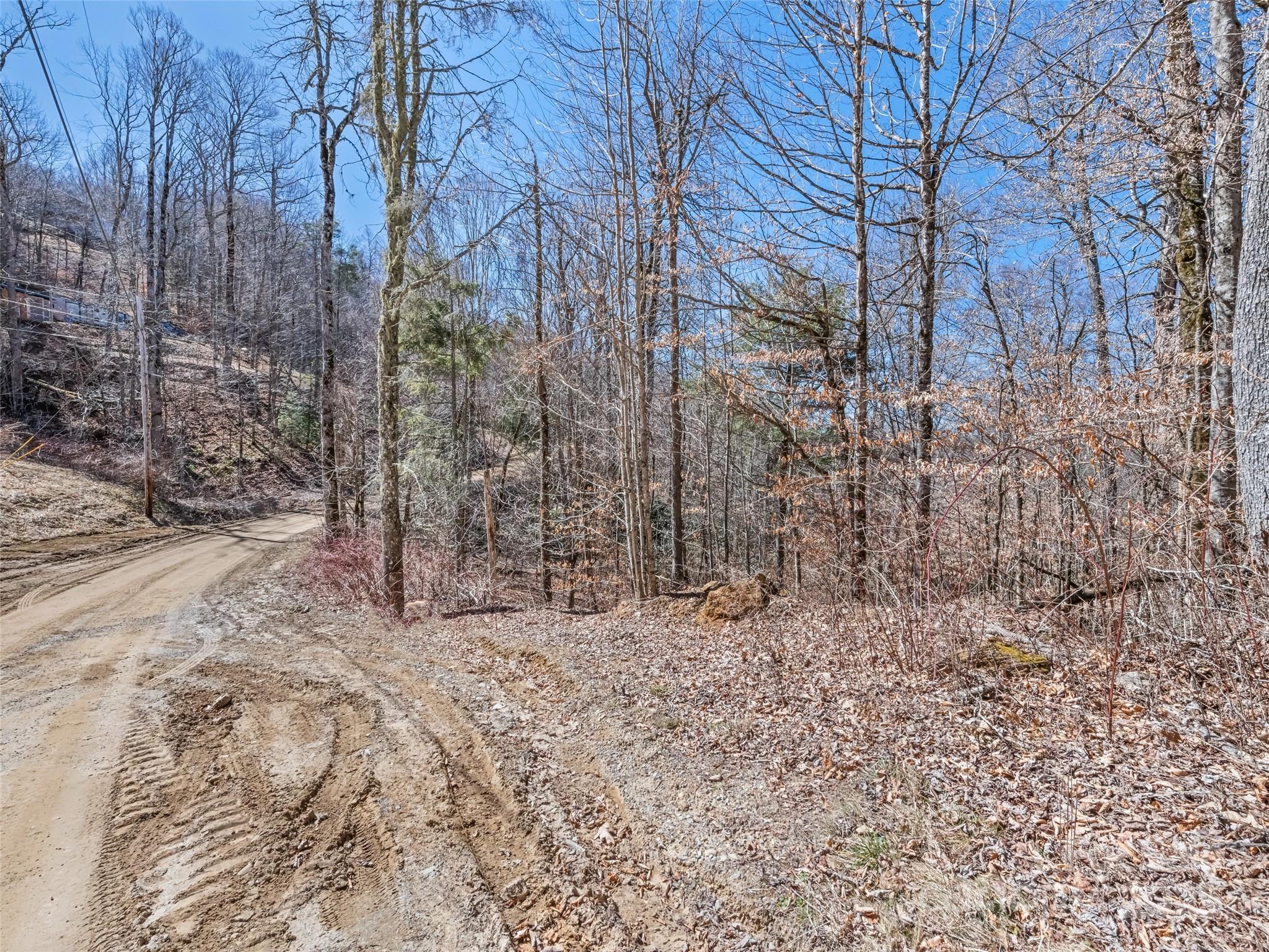 Lot 6 Spruce Flats Road Maggie Valley, NC 28751 - Photo 6 of 11