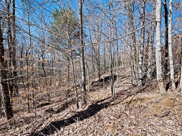 $35,000 | Lot 6 Spruce Flats Road, Maggie Valley, NC 28751