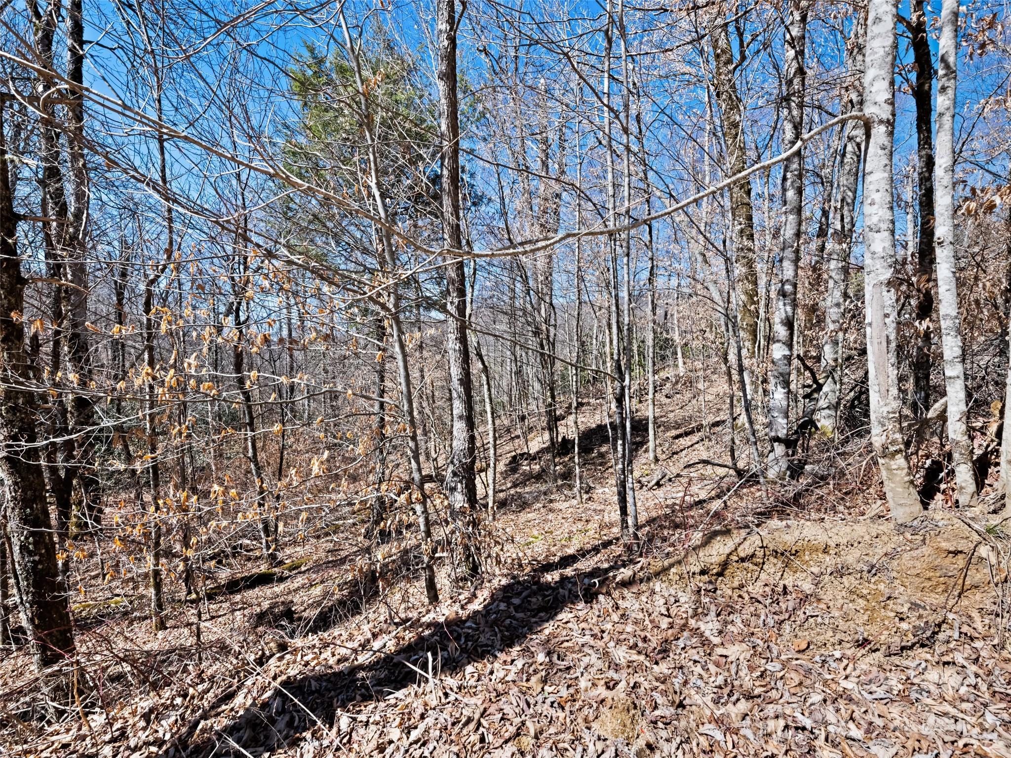 Lot 6 Spruce Flats Road Maggie Valley, NC 28751 - Photo 7 of 11