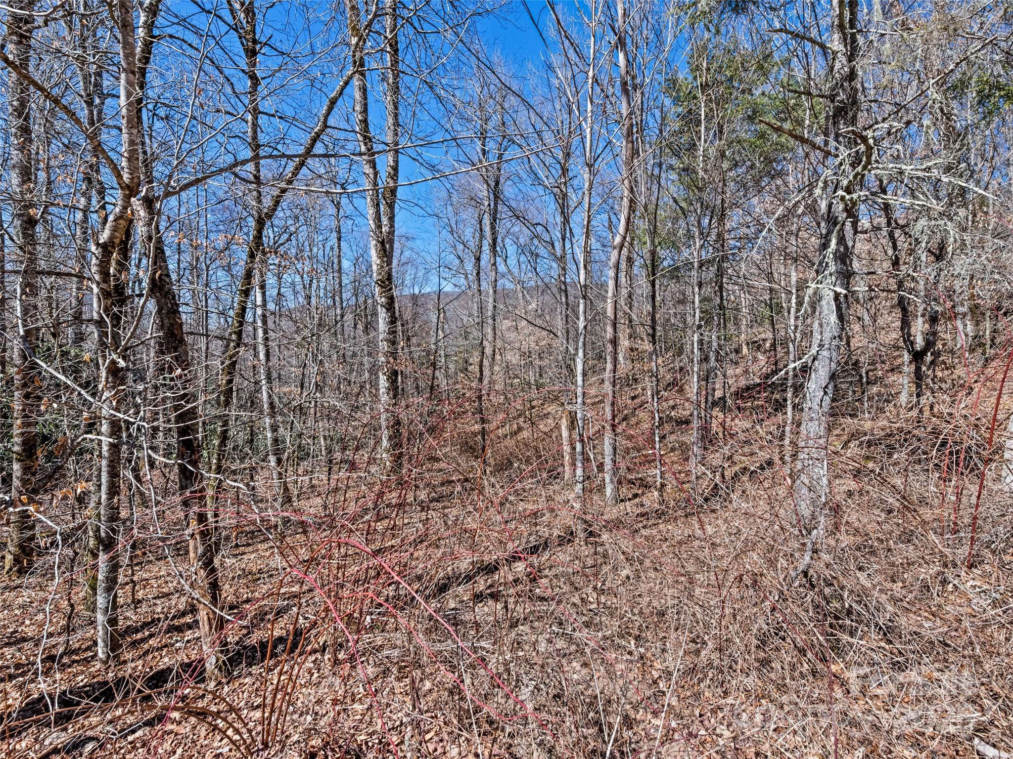Lot 6 Spruce Flats Road Maggie Valley, NC 28751 - Photo 8 of 11
