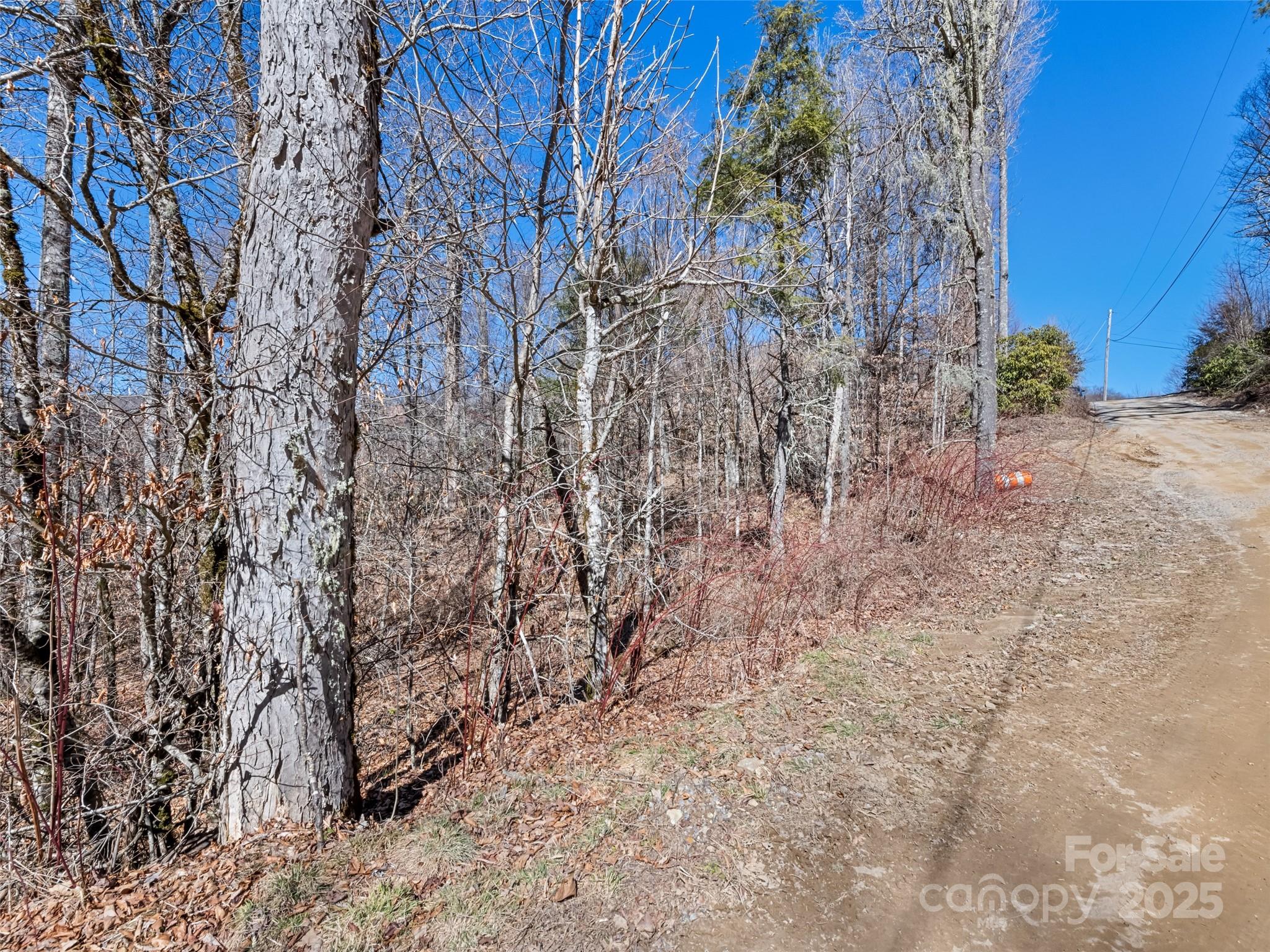 Lot 6 Spruce Flats Road Maggie Valley, NC 28751 - Photo 9 of 11