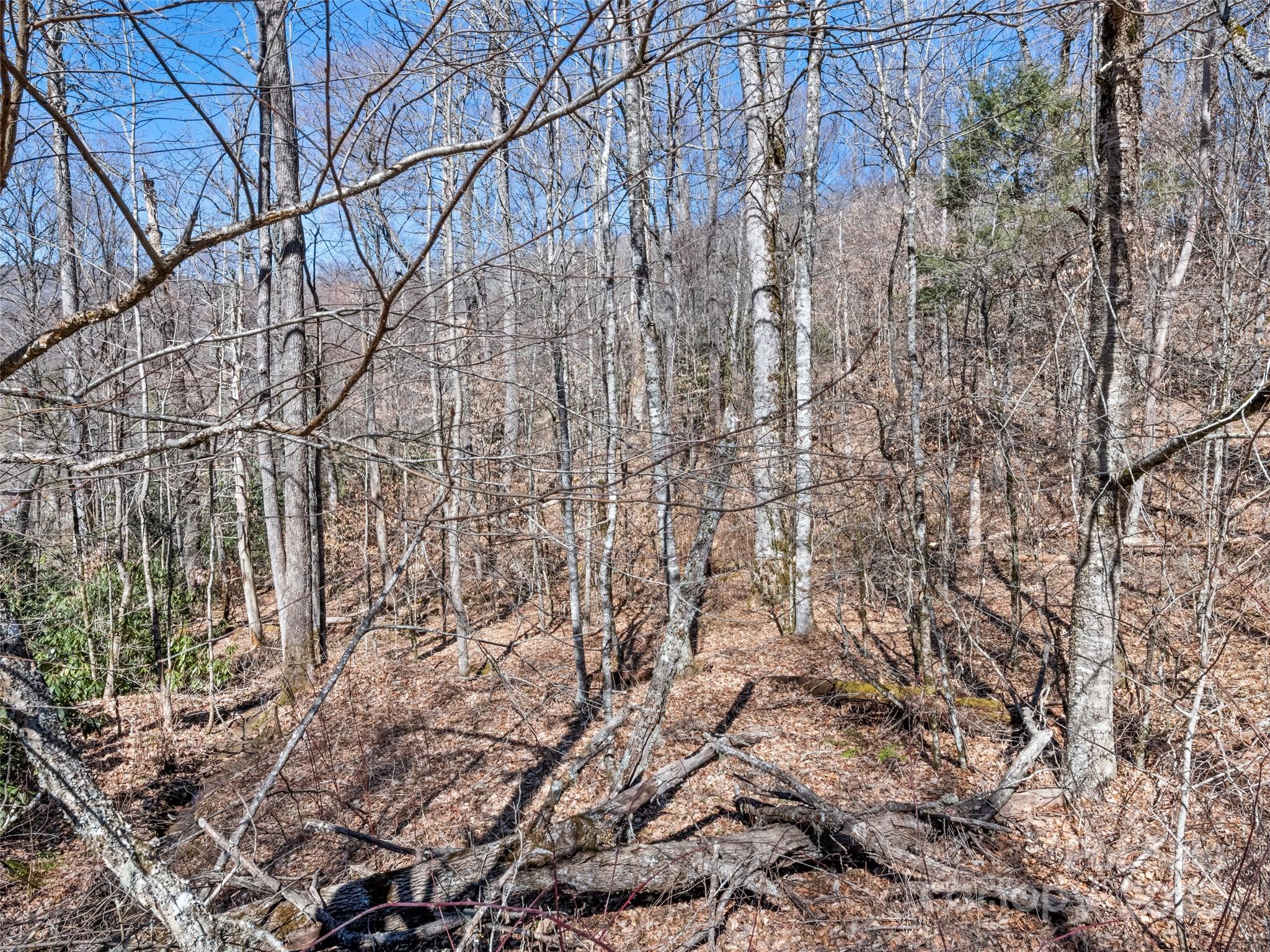 Lot 6 Spruce Flats Road Maggie Valley, NC 28751 - Photo 10 of 11