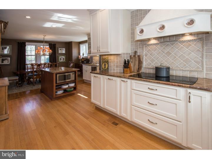 314 Fisher Road Jenkintown, PA 19046 - Photo 3 of 25 Kitchen