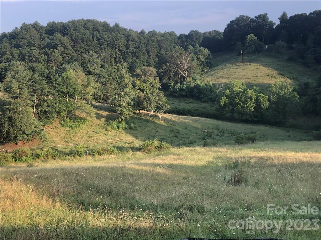 104 Grandview Road Alexander, NC 28701 - Photo 7 of 9 Gallery Image 7