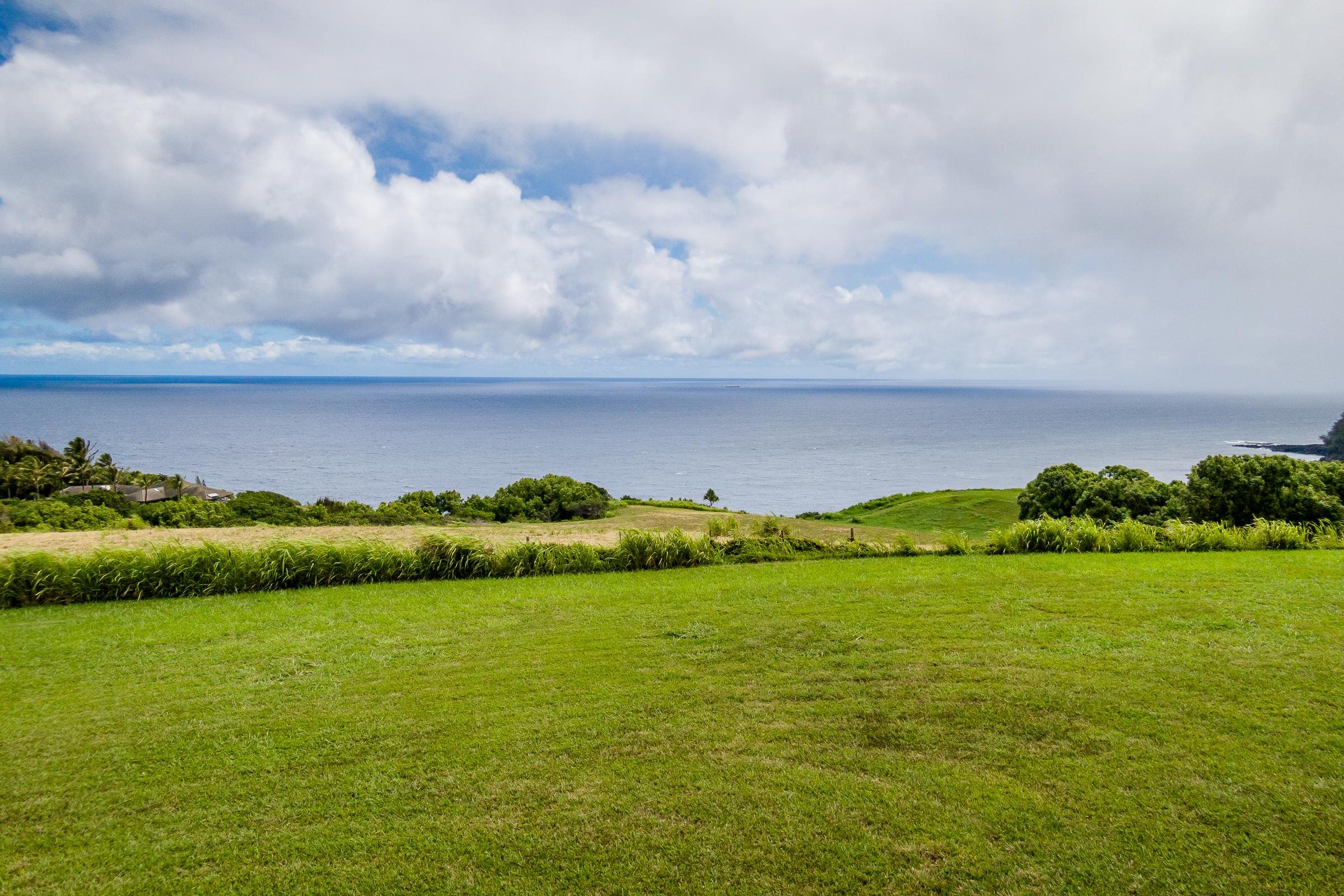 a view of a field with two house in background