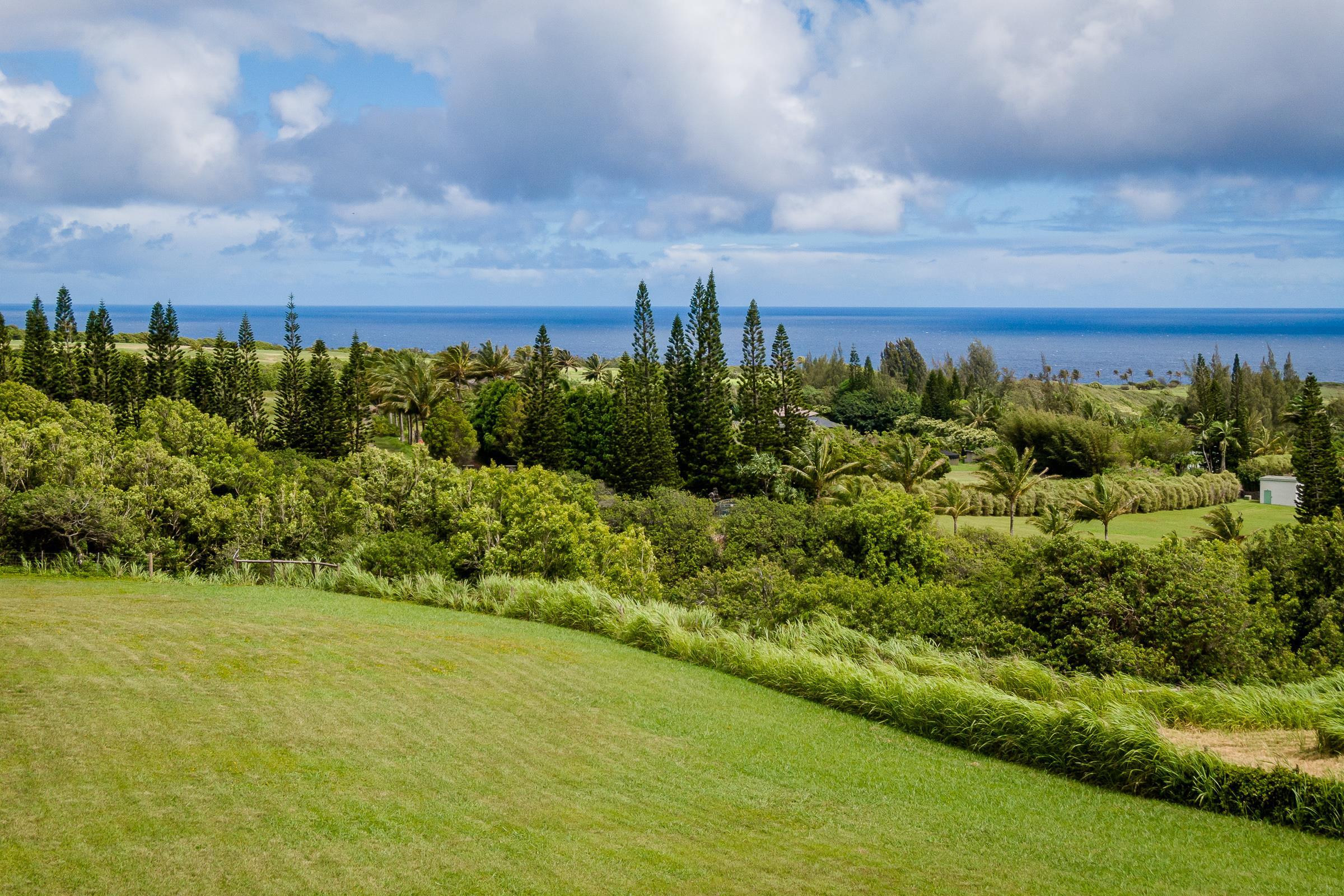 300 Mehana Road, Unit A Haiku, HI 96708 - Photo 15 of 21 a view of a garden