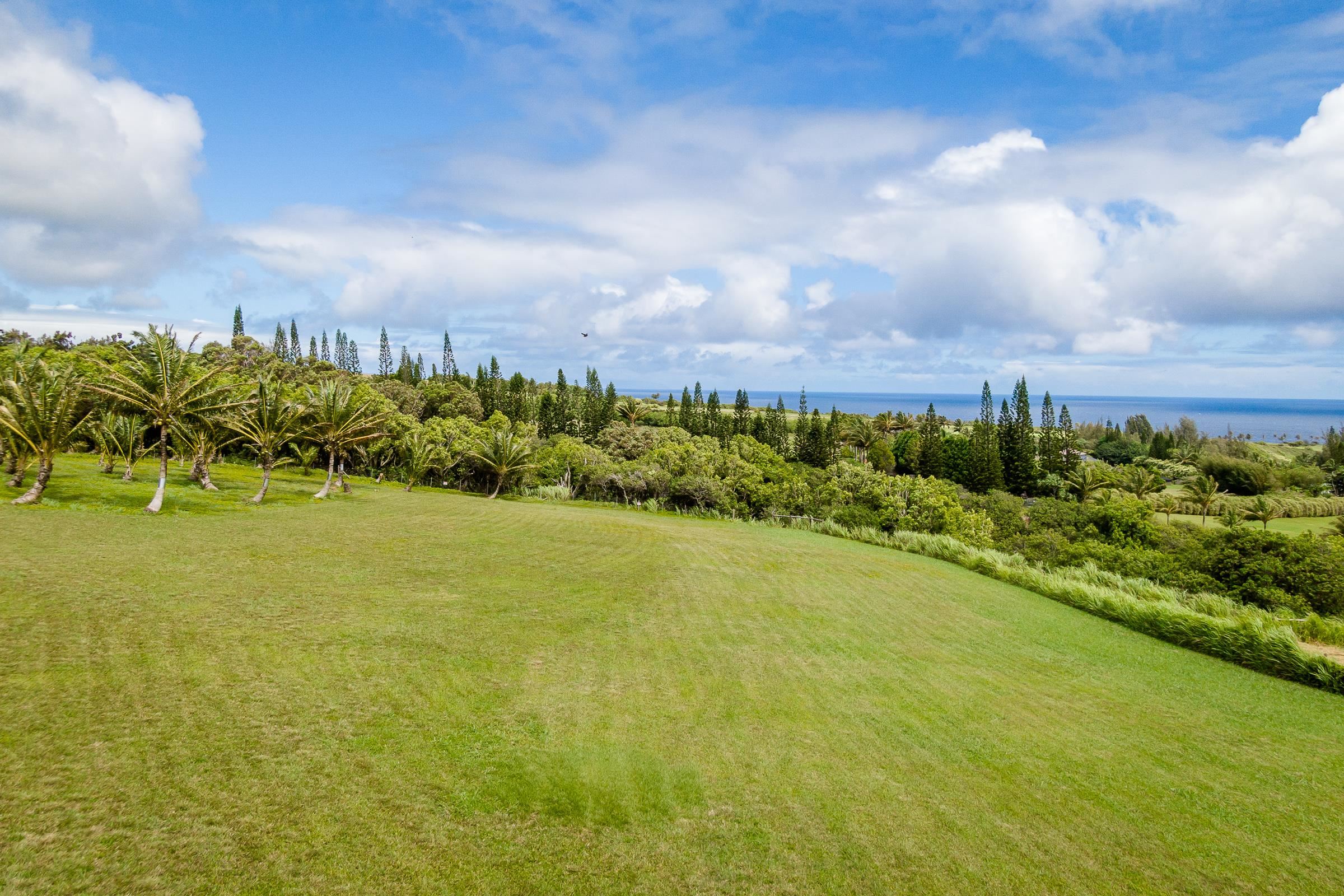 300 Mehana Road, Unit A Haiku, HI 96708 - Photo 18 of 21 a view of a city