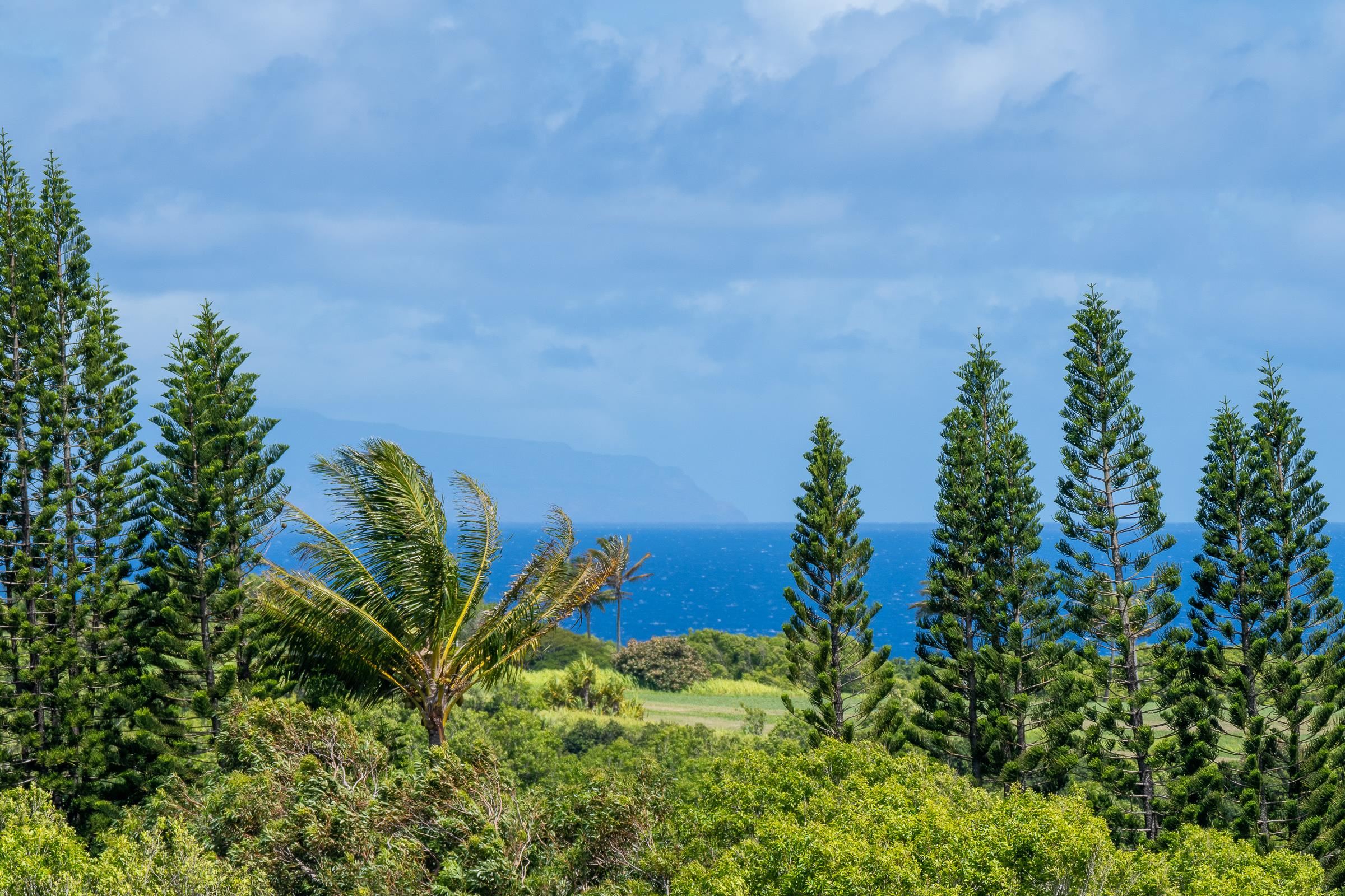 300 Mehana Road, Unit A Haiku, HI 96708 - Photo 20 of 21