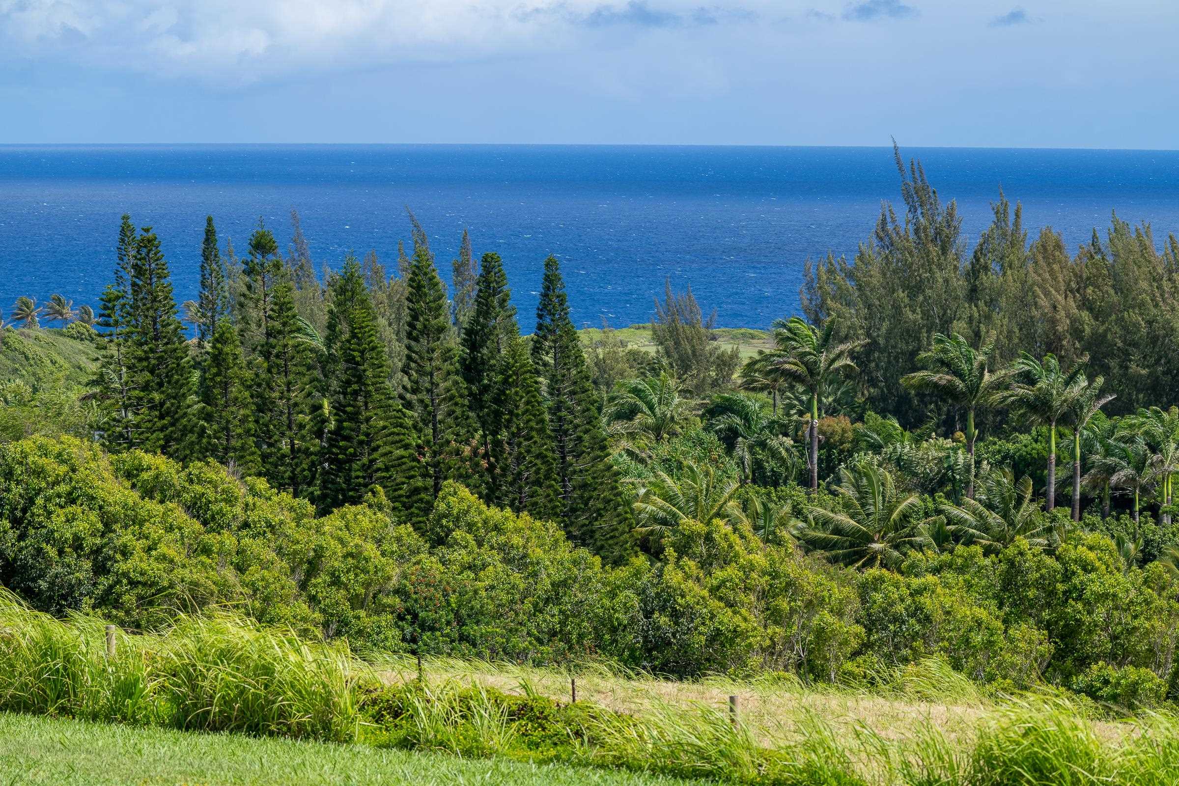 300 Mehana Road, Unit A Haiku, HI 96708 - Photo 21 of 21 a view of a city and ocean view