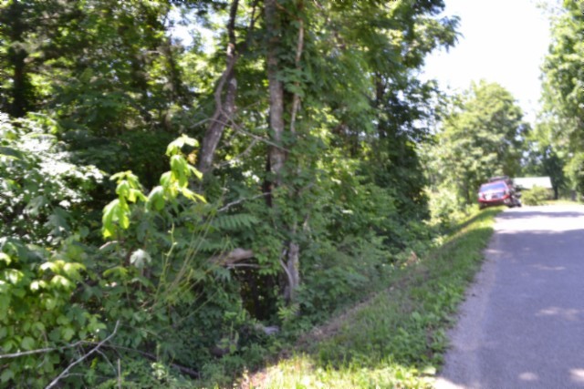 0 Pea Ridge Fire Tower Road Celina, TN 38551 - Photo 5 of 53