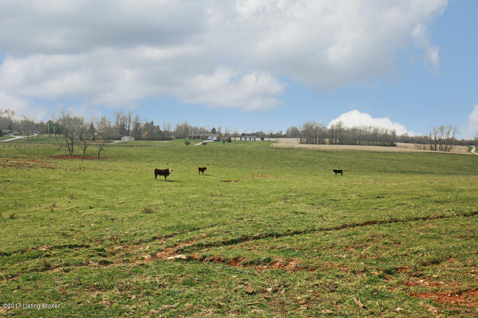 1090 Sirocco Road Brandenburg, KY 40108 - Photo 49 of 74 LREP0366