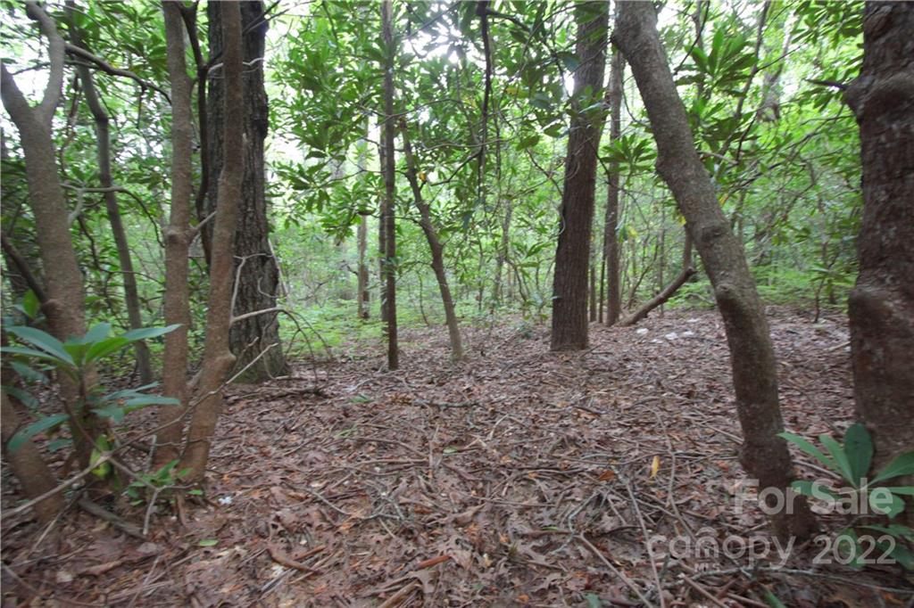 Lot 11 Lot Road, Unit 11 Sapphire, NC 28774 - Photo 11 of 17