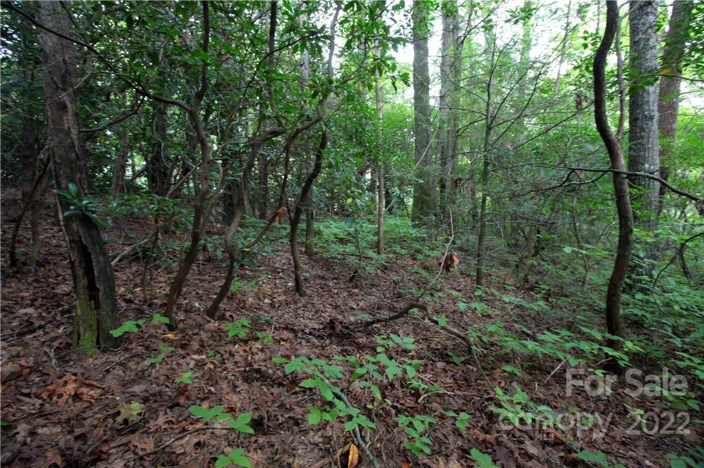 Lot 11 Lot Road, Unit 11 Sapphire, NC 28774 - Photo 14 of 17