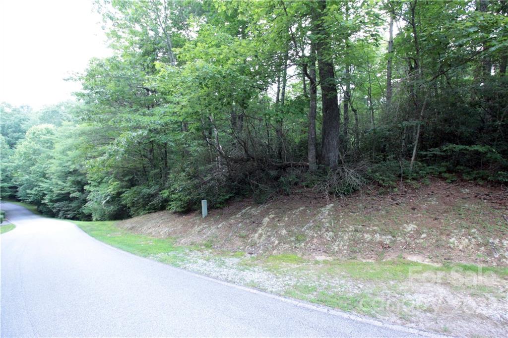 Lot 11 Lot Road, Unit 11 Sapphire, NC 28774 - Photo 15 of 17