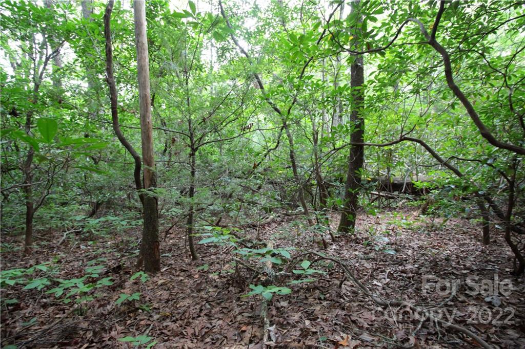 Lot 11 Lot Road, Unit 11 Sapphire, NC 28774 - Photo 2 of 17
