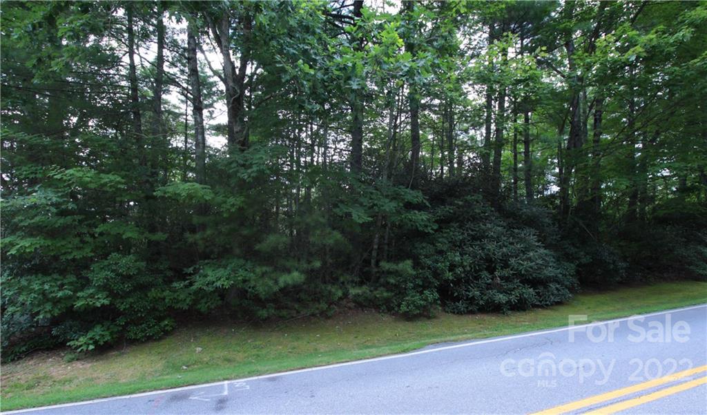 Lot 11 Lot Road, Unit 11 Sapphire, NC 28774 - Photo 5 of 17