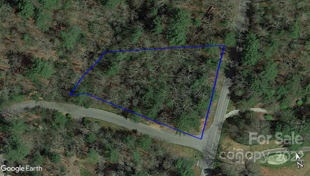 Lot 11 Lot Road, Unit 11 Sapphire, NC 28774 - Photo 8 of 17