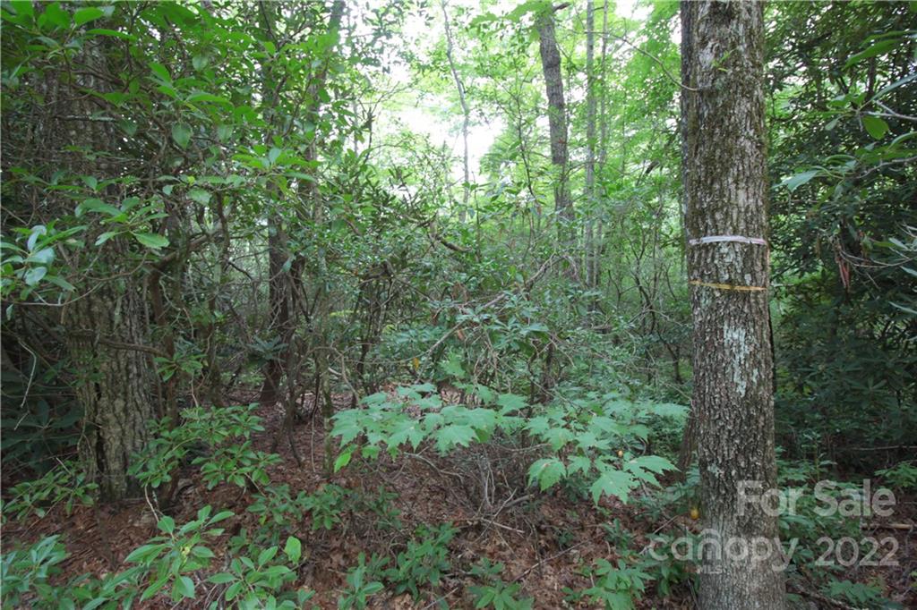 Lot 11 Lot Road, Unit 11 Sapphire, NC 28774 - Photo 9 of 17