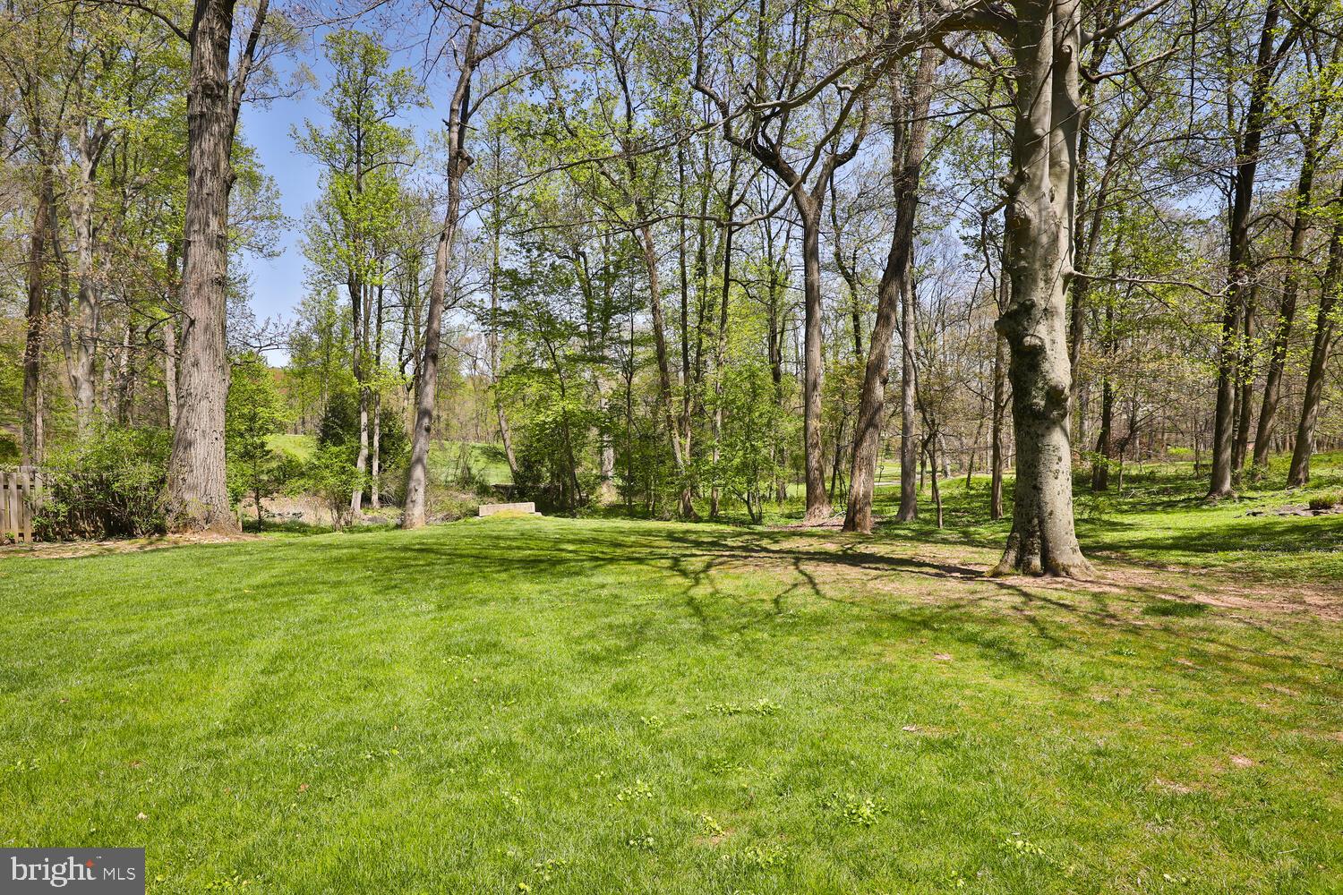 2366 Fairway Road Huntingdon Valley, PA 19006 - Photo 41 of 47 Back Yard overlooking Golf Course
