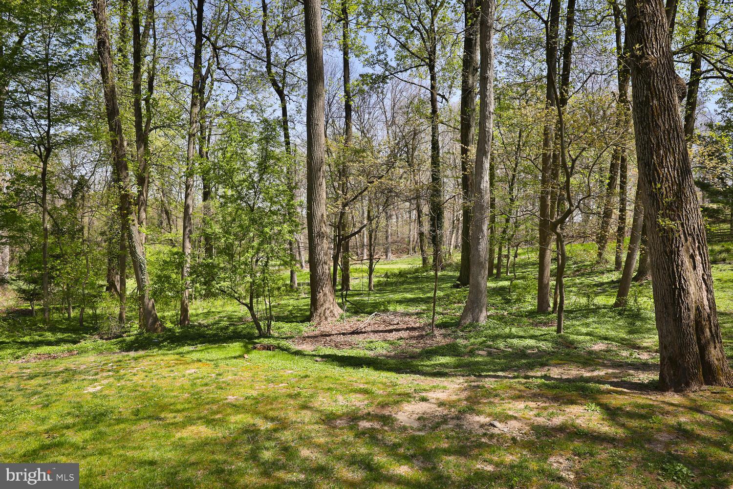 2366 Fairway Road Huntingdon Valley, PA 19006 - Photo 42 of 47 Back Yard overlooking Golf Course