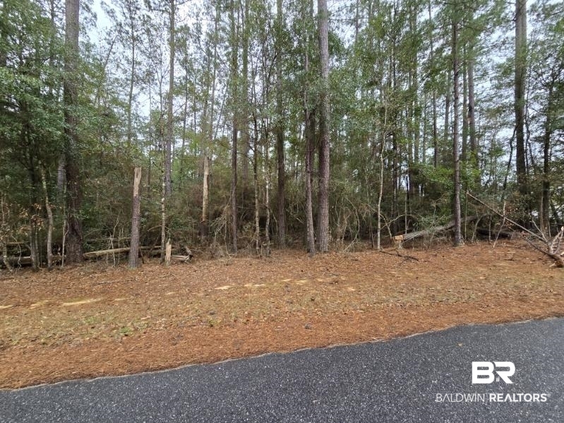 0 Tippens Eddy Road Brewton, AL 36426 - Photo 1 of 3 View of undeveloped land