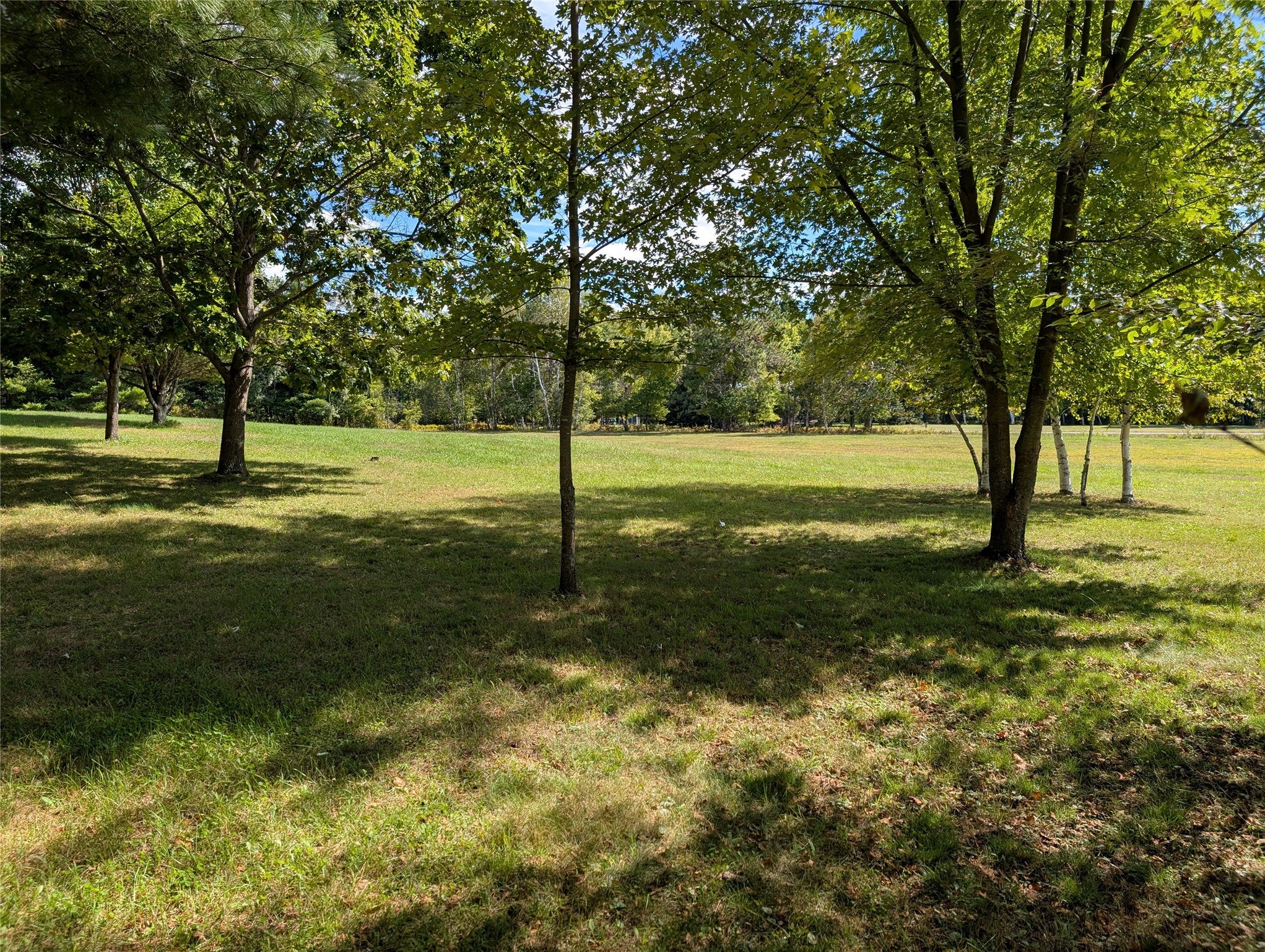 W6858 County Rd H Phillips, WI 54555 - Photo 43 of 57 Gallery Image 43