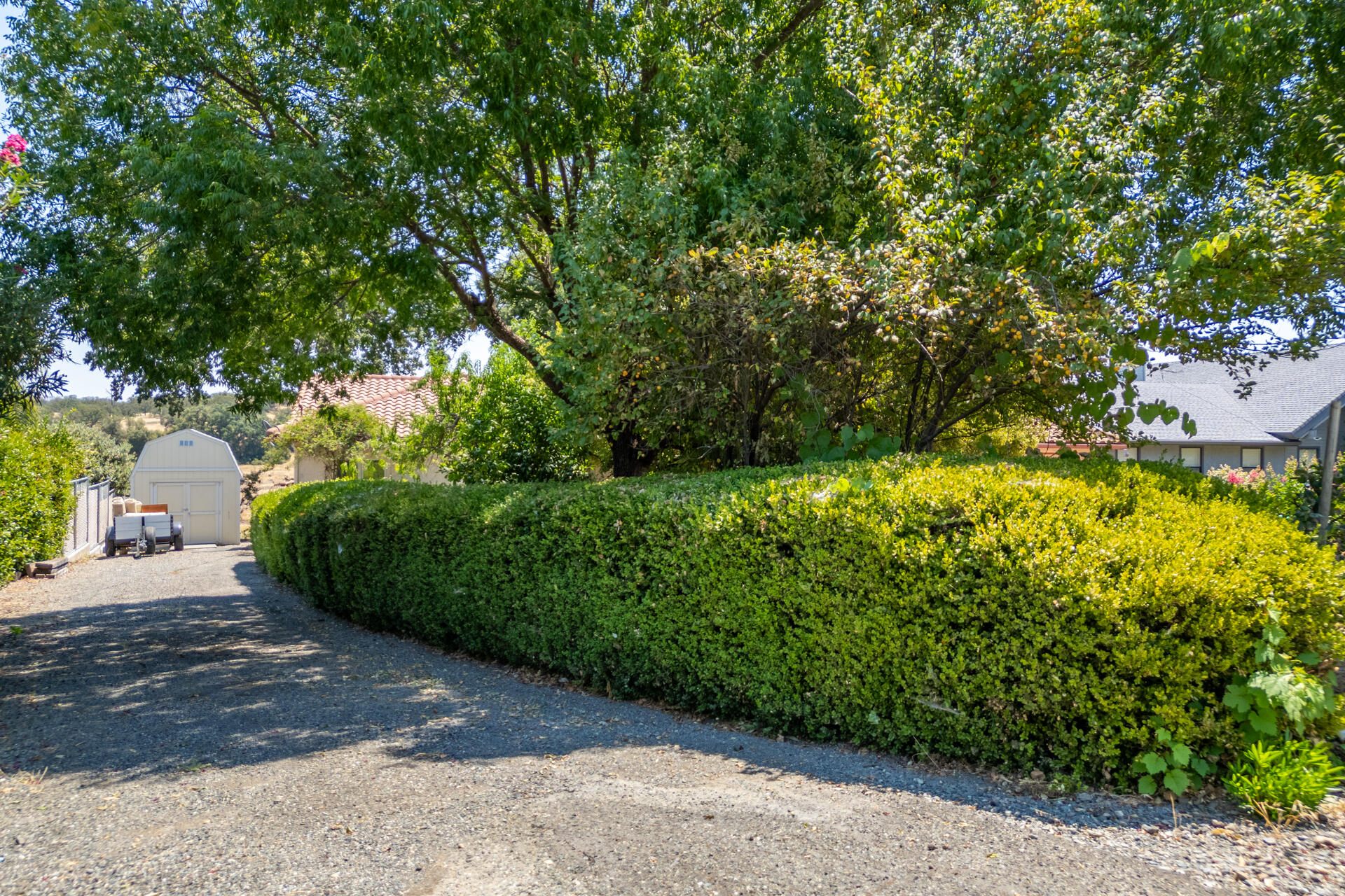 15560 China Rapids Drive Red Bluff, CA 96080 - Photo 8 of 43 a view of a garden with a pathway