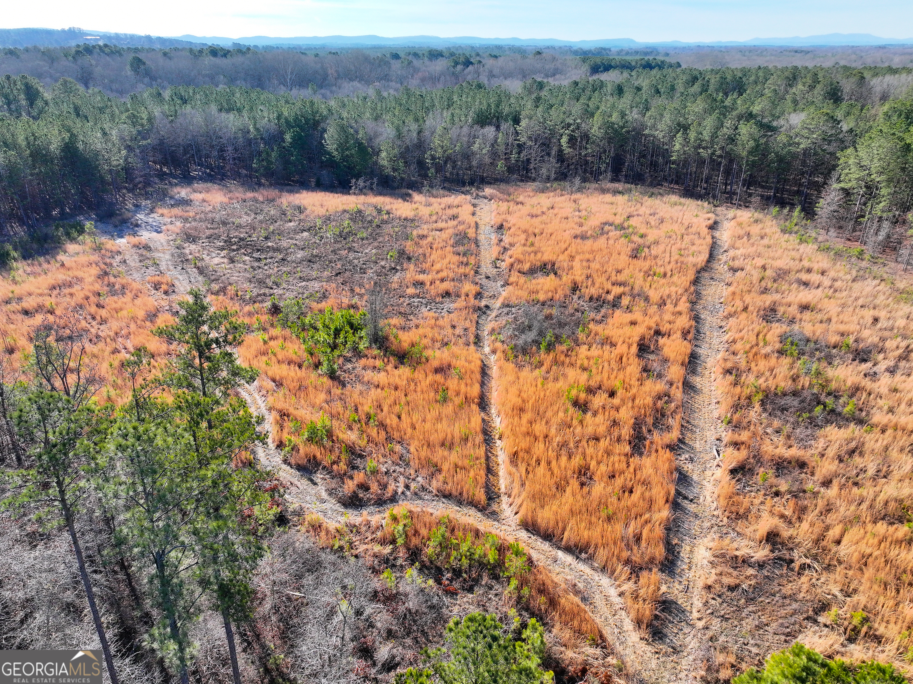 28 Acres On Mays Bridge Road Rome, GA 30165 - Photo 20 of 22