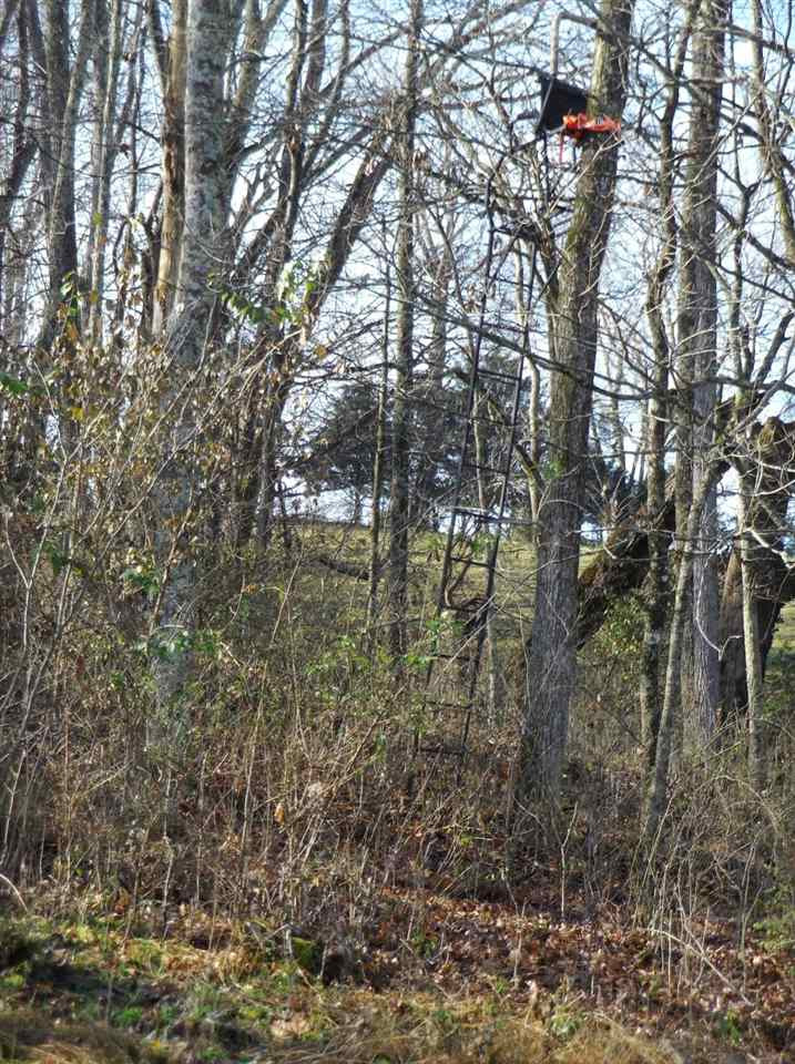 1 Morning Glory Road Cynthiana, KY 41031 - Photo 21 of 25 Gallery Image 21