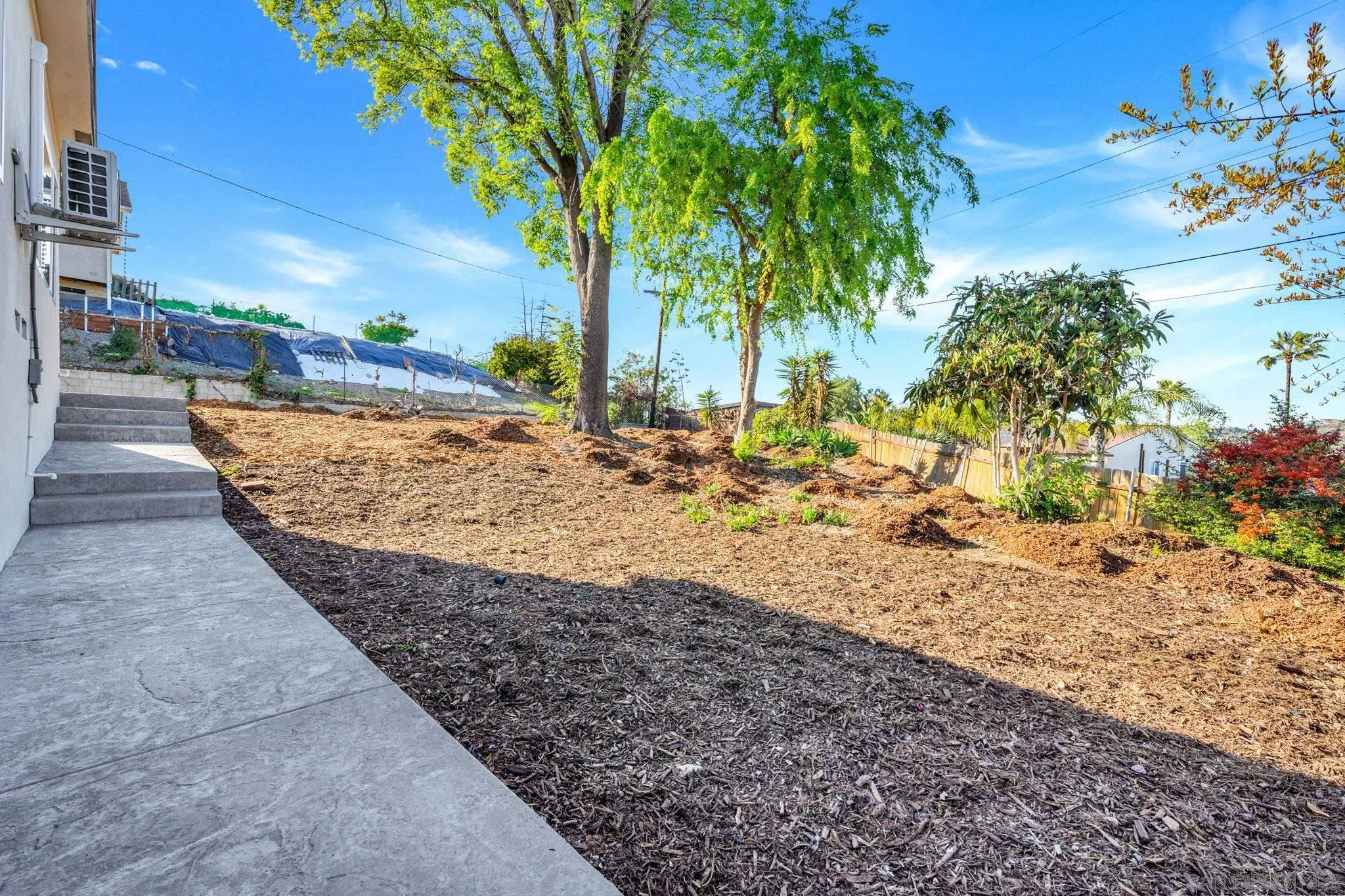 10104 Cristobal Drive Spring Valley, CA 91977 - Photo 46 of 56 a view of a yard with an tree