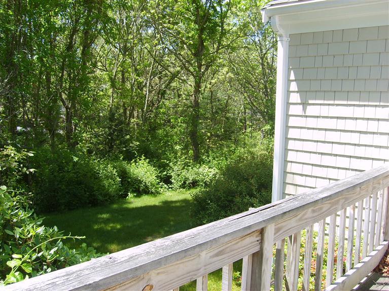 27 Sarah Lawrence Road Sandwich, MA 02563 - Photo 15 of 16 Additional Photo
