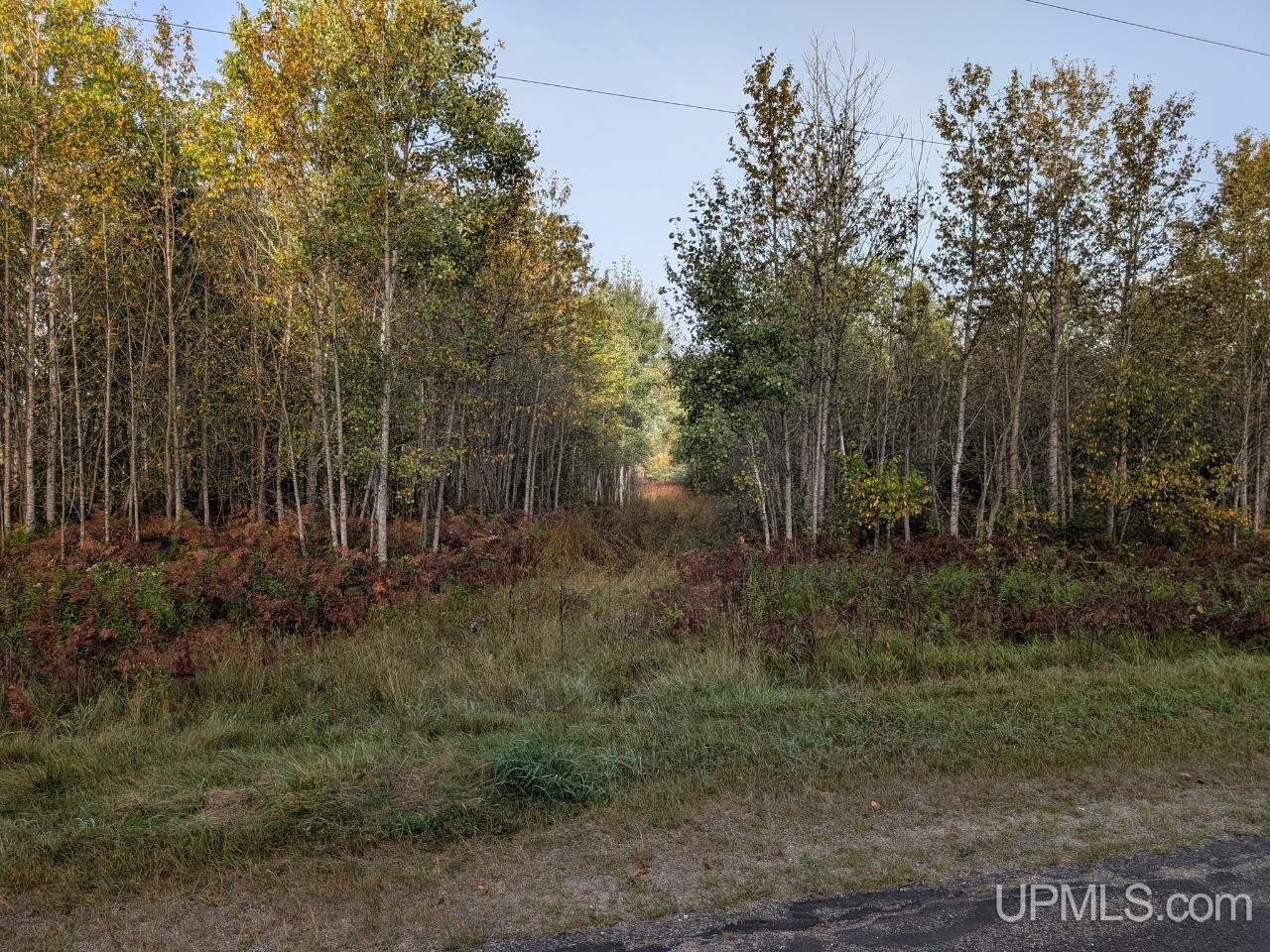 40-acres Way Dam Road Crystal Falls, MI 49920 - Photo 16 of 16