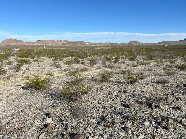 19795 Reimers Road Alpine, TX 79830 - Photo 9 of 15 Gallery Image 9
