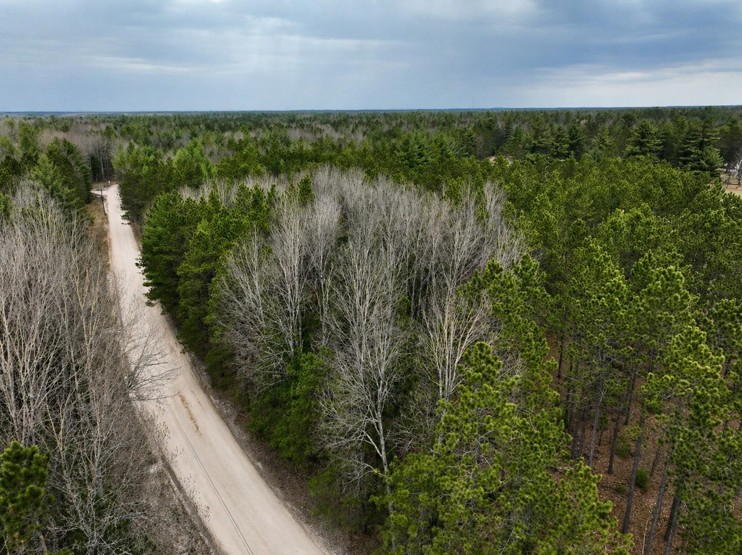 4724 Boardman River Road Southwest South Boardman, MI 49680 - Photo 10 of 42