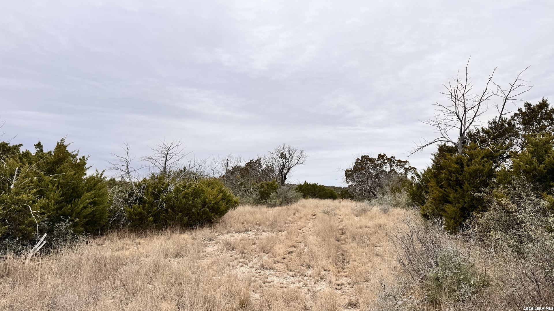 16010 Sd Rocksprings, TX 78880 - Photo 11 of 20 a view of a dry yard
